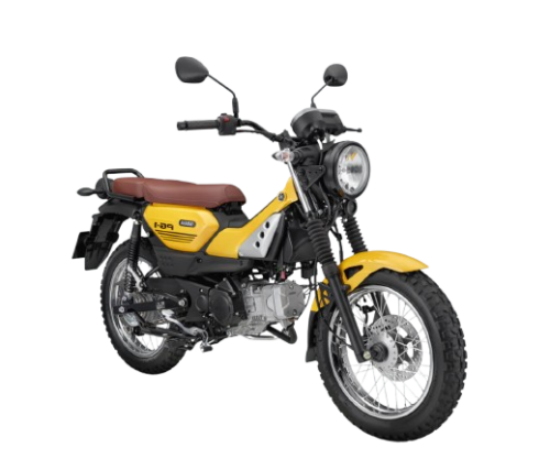 YAMAHA PG1